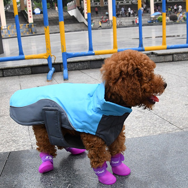 Polar Fleece Outdoor Jackets for Your Pet